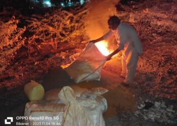 कहीं आप तो नहीं खा रहे पुराना, कीड़े लगा हुआ बदरंग मिर्ची, हल्दी, धनियां पाउडर