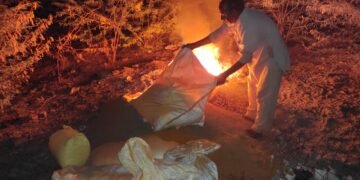 कहीं आप तो नहीं खा रहे पुराना, कीड़े लगा हुआ बदरंग मिर्ची, हल्दी, धनियां पाउडर