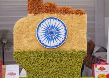 नवाचार: आठ किलो का समोसा, 1.5 फीट की जलेबी, एक किलो का गुलाब जामुन, 135 किग्रा का केक, 24 फीट की सोनपापड़ी बनाकर मतदान का संदेश