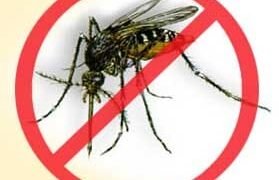 डेंगू की रोकथाम मामले में लापरवाही, 25 चिकित्सकों को मिला नोटिस, देना होगा जवाब, नहीं तो होगी कार्रवाई