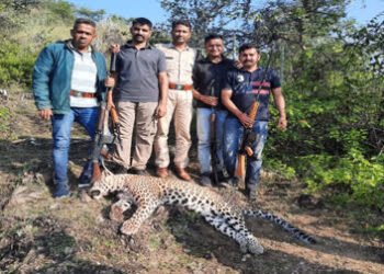 आखिरकार मारा गया आदमखोर पैंथर, हालांकि वन विभाग बोले जांच के बाद चलेगा पता