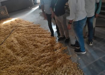 दिवाली के अवसर पर स्वास्थ्य विभाग की कार्रवाई खारा औद्योगिक क्षेत्र में 320 किलो खींचिए नष्ट करवाए