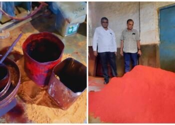 केंद्रीय खाद्य सुरक्षा दल की बीछवाल में बड़ी कार्रवाई  18 हजार किलो संदिग्ध रंग मिले मसाले को किया सीज