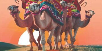 अंतराष्ट्रीय ऊंट उत्सव शुक्रवार से, ‘बीकानेर हेरिटेज वॉक’ के साथ होगी शुरुआत, शाम को प्रकाश माली देंगे लोकगीतों की प्रस्तुतियां