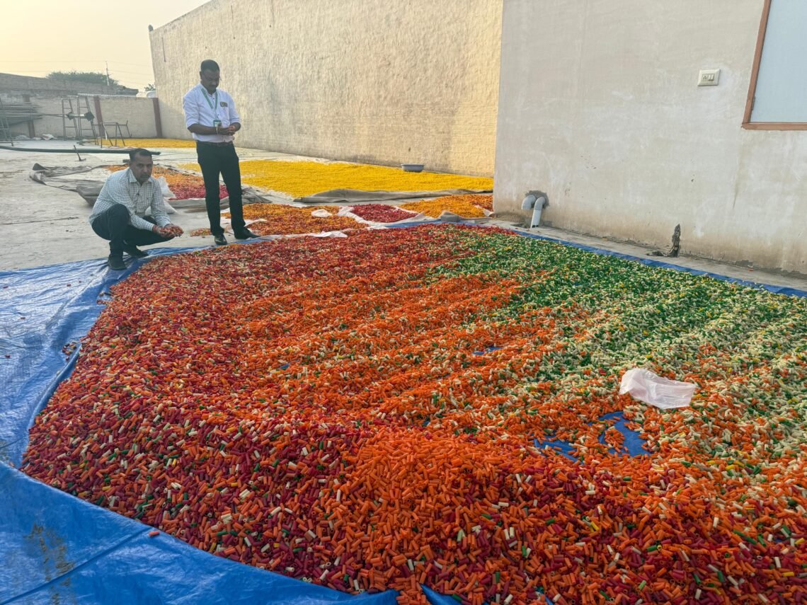 बीकानेर में 3000 किलोग्राम खीचिए सीज करवाए