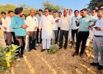 खेत में नहीं फसल, कर दी गिरदावरी, पूर्व विधायक बोले किसानों के साथ अन्याय बर्दाश्त नहीं