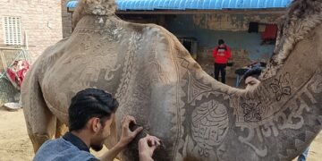 अंतरराष्ट्रीय ऊंट उत्सव- 9 से 11 जनवरी 2026