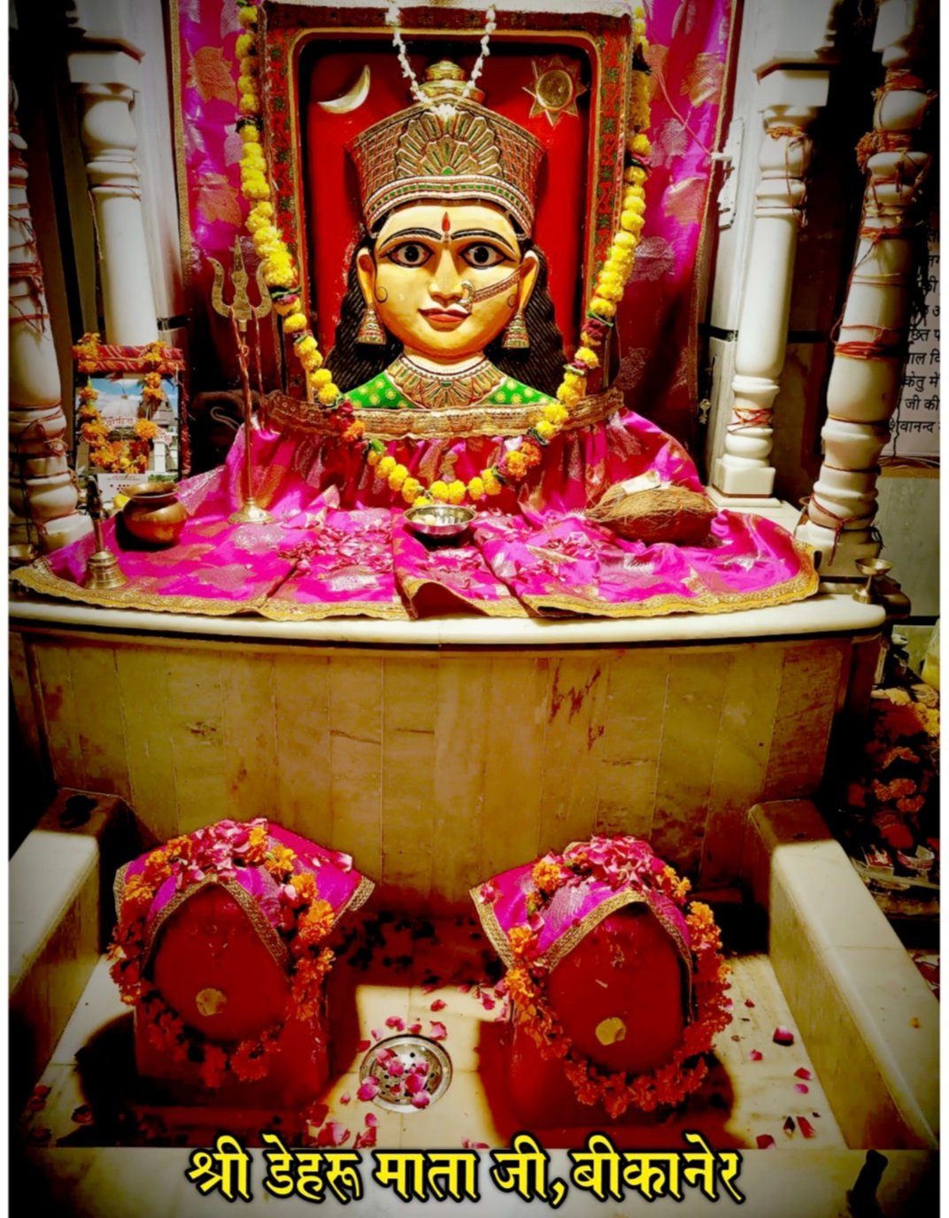 डेहरू माता मंदिर का भव्य पाटोत्सव 17 जून को, तैयारियां जोरों पर