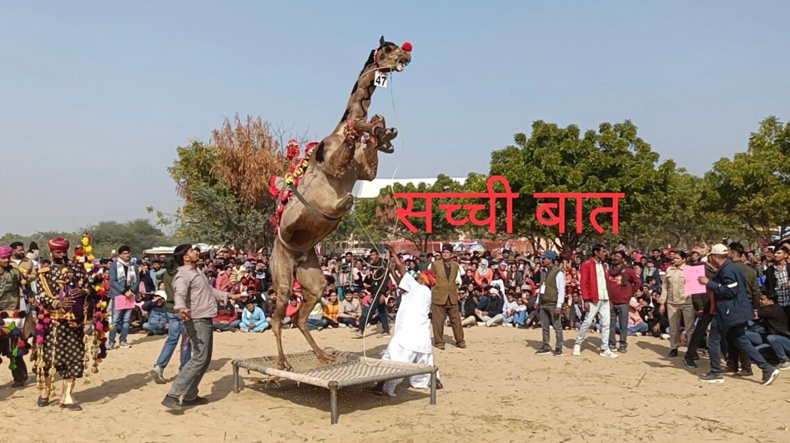 आठ से दस जनवरी तक होगा अंतर्राष्ट्रीय ऊंट उत्सव, विभिन्न नवाचारों से देंगे भव्य रूप